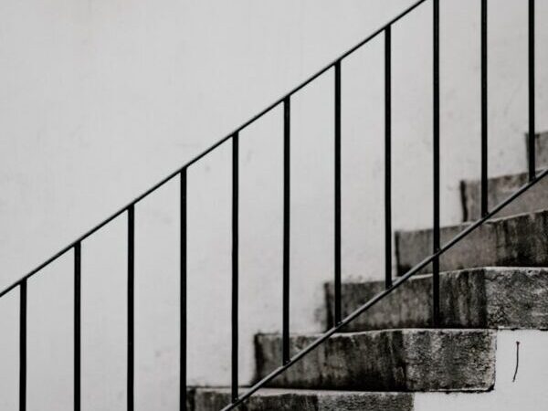 DIY Bat Removal: A Step-by-Step Guide